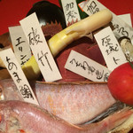 Shusai Dokoro Nosaan - 本日おすすめの食材