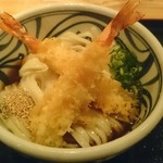 讃岐饂飩 根の津 - 天ぷらぶっかけ大盛