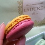 Laduree - 