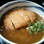 本格手打ちうどん とも作 - カツカレーうどん