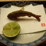懐石料理 桝田 - 鮎