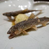 神楽坂 石かわ - 琵琶湖の稚鮎素揚げとそら豆を裏込したもののフリット。