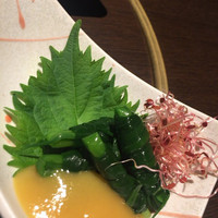 馬桜 下通り店 - 