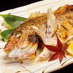 ざうお - 