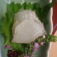 喜泉 - 