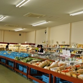 フローラルアイランド_2