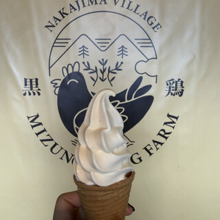 水野谷鶏卵店_0