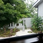 Sobakiri Yuugen - 窓から観た中庭