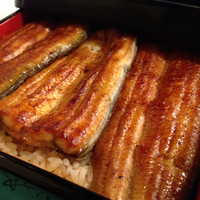 日本橋いづもや - コストパフォーマンス最高
                限定10食！