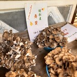 黄金の里会館 - 