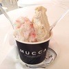 森のジェラテリア MUCCA