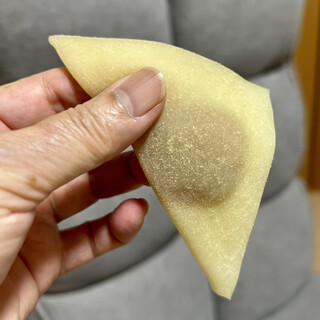 本家西尾八ツ橋_1