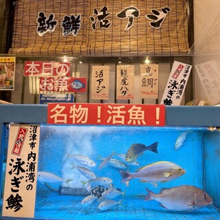 はなの舞_0