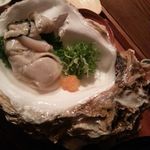 中島康三郎商店 - 岩牡蠣