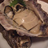 桂 - 牡蠣