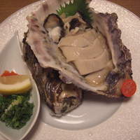 桂 - こぶしくらいの大きさです