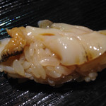 鮨ノ蔵 - つぶ貝