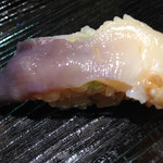 鮨ノ蔵 - ホッキ