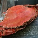 寿司割烹 魚紋 - 渡り蟹