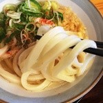本格手打 いわしや - エッジの効いたうどん♪