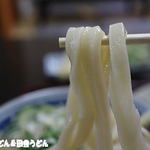 あそび - 2015年6月　うどん　アップ