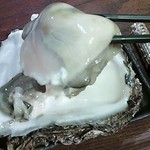 呑蔵 - わたくし史上最大の生牡蠣