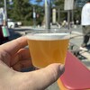 Izumo Brewing Co. TAISHA