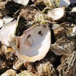 和風レストラン やまさ - 