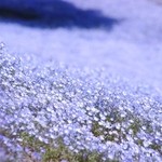 和風レストラン やまさ - 