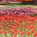 和風レストラン やまさ - 