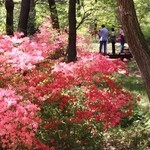 和風レストラン やまさ - 