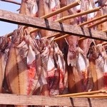 和風レストラン やまさ - 