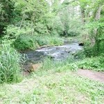 BON OKAWA 카루이자와 초콜릿 팩토리 - 初夏の沢の風景☆涼しくて爽やか～♪