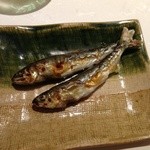 すし匠 まさ - Ｈ27.6 稚鮎