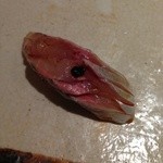 すし匠 まさ - Ｈ27.6 鯵 