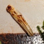 すし匠 まさ - Ｈ27.6