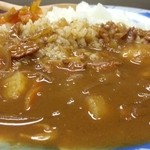 紫月 - ランチカレー　５００円！　2015.6