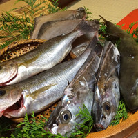 魚めし 竹亭 - 
