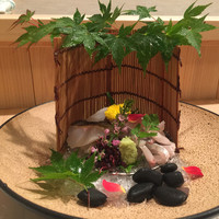 水葵 - 