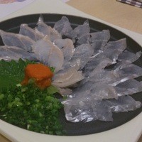 会員制 寿司割烹鷹勝 中洲店 - 活穴子の薄造り