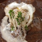 Shirakabe Kurabu - 前菜の岩ガキのマリネ