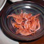 尊尊我無 - 桜エビ