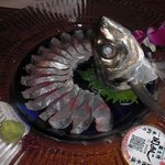 尊尊我無 - 関あじ刺身