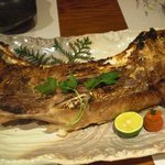 マグロカマ岩塩焼き