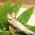 うを徳 - 琵琶湖（びはこ）の香魚（あゆ）