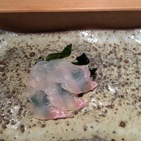 寿司勇 - 珍しい星ヒラメ
