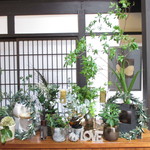 フォーカルポイント - 