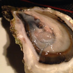 オイスターバー GOSHIKI - 長崎の岩牡蠣