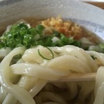 合田うどん - モッチモチの美味い麺
