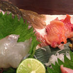 さかなや　いぬい - こち,赤貝